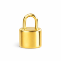 Lock Charm